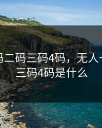 无人一码二码三码4码，无人一码二码三码4码是什么