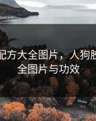 人狗胶配方大全图片，人狗胶配方大全图片与功效