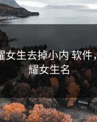 王者荣耀女生去掉小内 软件，王者荣耀女生名