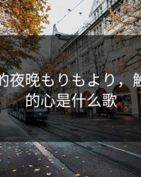 触摸你的夜晚もりもより，触摸着你的心是什么歌