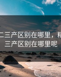 精产一二三产区别在哪里，精产一二三产区别在哪里呢