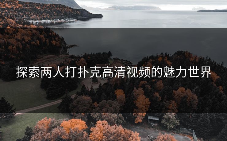 探索两人打扑克高清视频的魅力世界