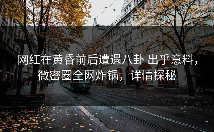 网红在黄昏前后遭遇八卦 出乎意料，微密圈全网炸锅，详情探秘