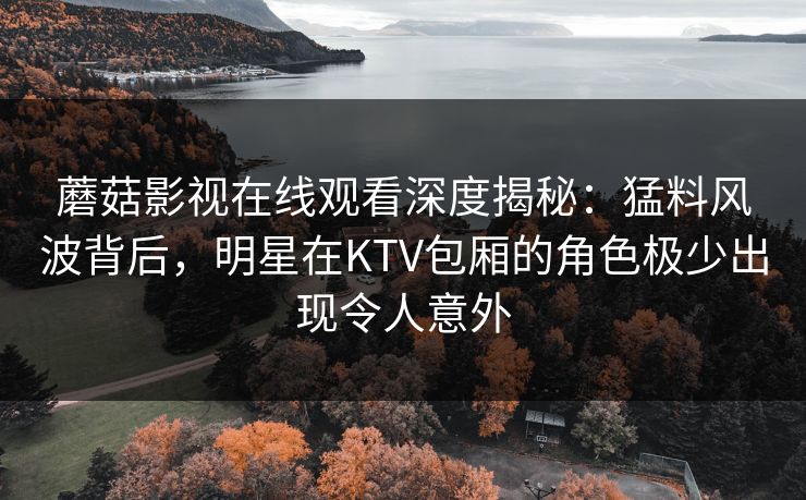 蘑菇影视在线观看深度揭秘：猛料风波背后，明星在KTV包厢的角色极少出现令人意外